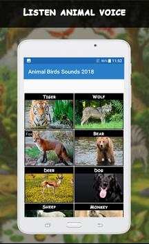 Animal Sounds App: Beautiful Birds Sounds screenshot 7