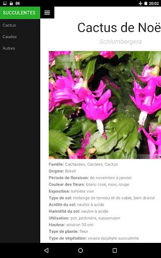 Au Cactus screenshot 9