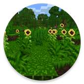 MyCraft: Craft candy blocks 2.3.3