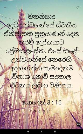 Daily Promise from God screenshot 18