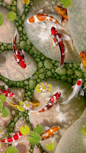 Koi Fish--APUS Launcher Free Theme&HD Wallpapers screenshot 6