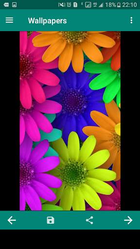 Offline HD Wallpapers screenshot 3