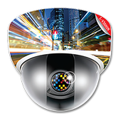 L-Vision icon