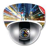 L-Vision