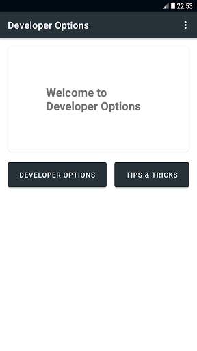 Developer Options screenshot 2