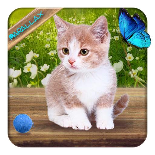 Cute Lovely Cat APUS Live Wallpaper 1.0