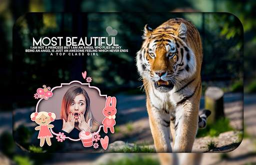 Tiger Photo Editor 3 تصوير الشاشة