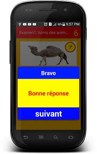 Examen 1 : noms des animaux screenshot 3