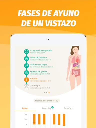 BodyFast: Ayuno Intermitente screenshot 15