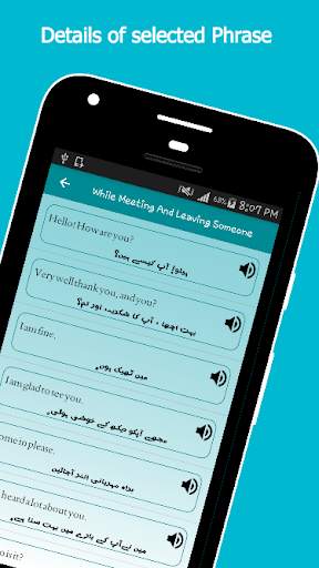 learn English Grammar with Pronunciation Offline screenshot 4