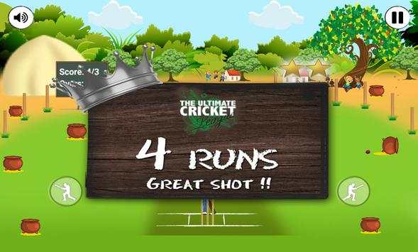 The Ultimate Cricket League screenshot 5