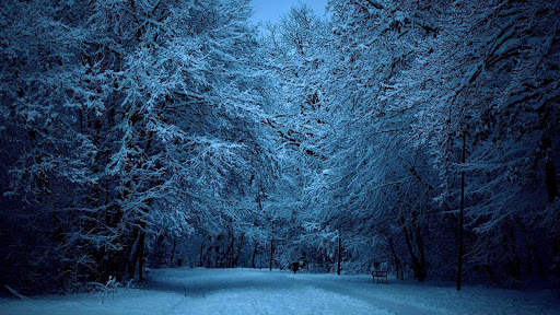Winter Wallpapers : backgrounds hd screenshot 11