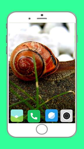 Snail Wallpaper Full HD screenshot 7