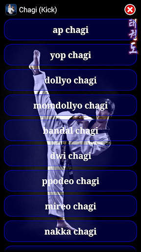 Taekwondo WTF screenshot 5