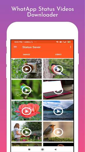 Status Saver - Status Download Karne Wala App screenshot 3