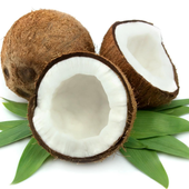 coco messenger icon
