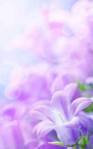 HD Lilac Flower Live Wallpaper screenshot 6