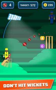 Mr. Bat: The Cricket Game screenshot 6