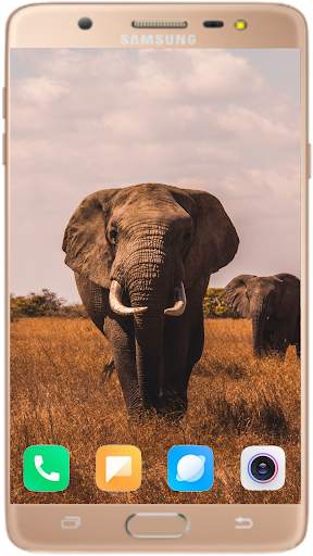Elephant Wallpaper Best HD screenshot 14