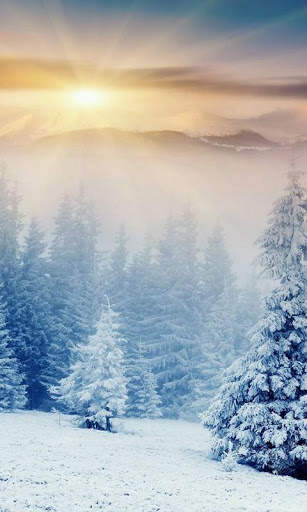 Wallpapers HD Free screenshot 8