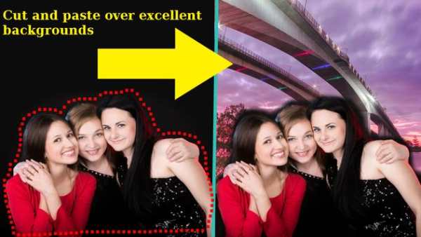Photo Background Changer Plus 4 تصوير الشاشة