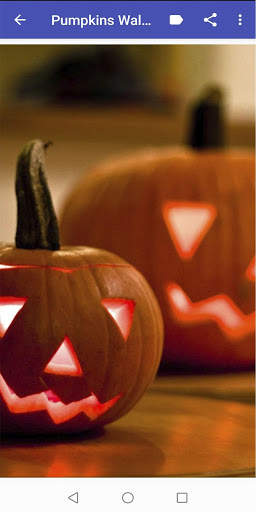 Pumpkin Wallpapers screenshot 4