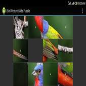 Bird Jig Saw Puzzle 4.0