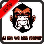 DJ Can We Kiss Forever 1.0
