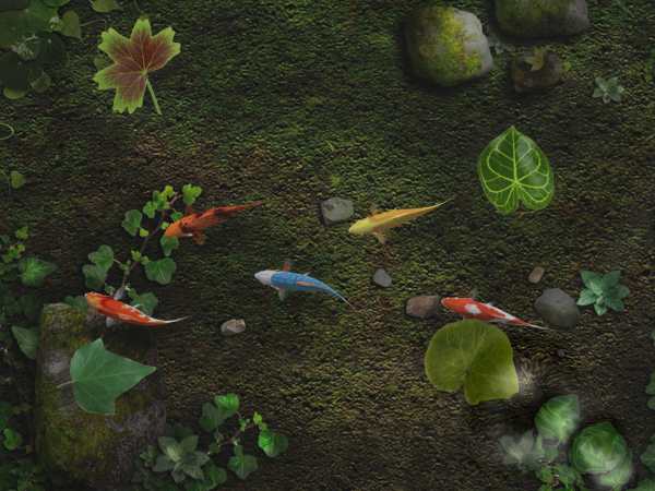 Water Koi Fish Pond LWP screenshot 15
