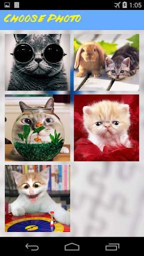 Funny Cats Jigsaw Puzzle screenshot 3