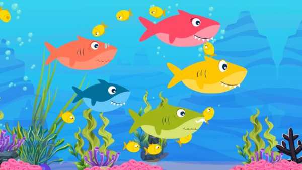 Baby Shark Song : offline Videos screenshot 3