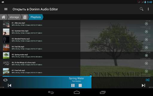 Doninn Audio Editor Free скриншот 12
