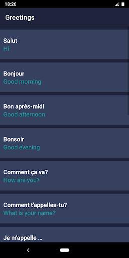 Travel Phrases screenshot 8