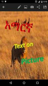 Amharic text on picture screenshot 2
