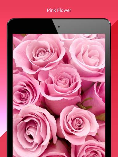 My Flowers Colors HD WALLPAPER screenshot 13