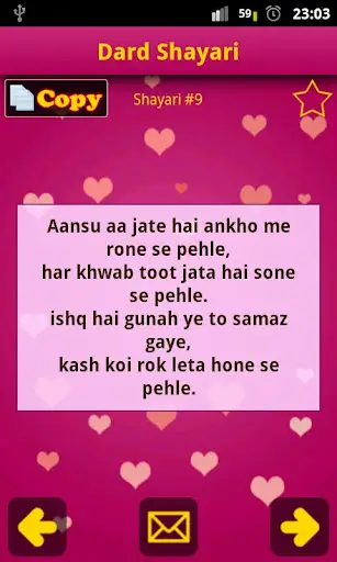 Hindi Shayari Collection screenshot 3