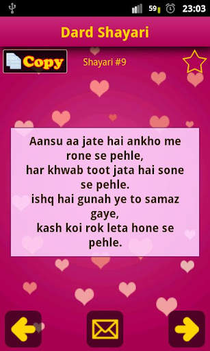 Hindi Shayari Collection screenshot 3