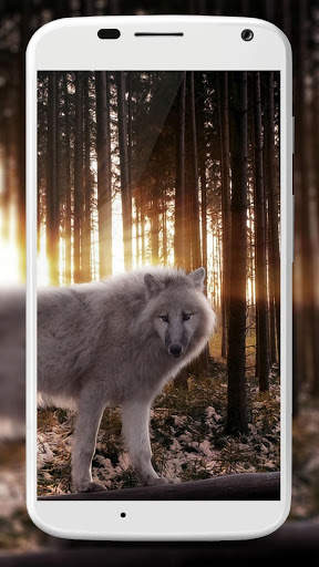 Wolf Wallpaper screenshot 5