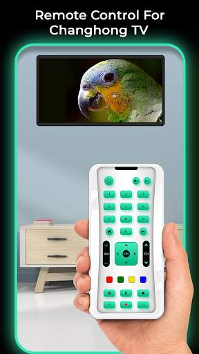 Remote Control For Changhong TV screenshot 2