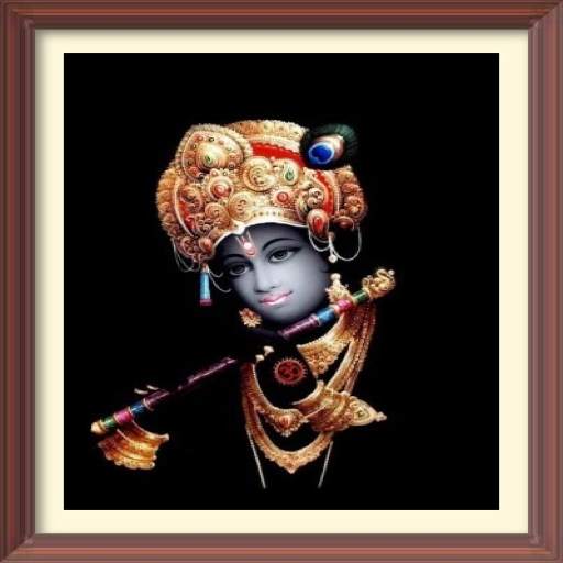 Mara Ghat Ma Birajta Shreenathji screenshot 1