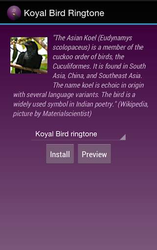 Koyal Bird Ringtone screenshot 1