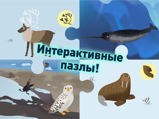MarcoPolo Arctic скриншот 10