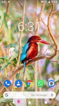 Bird Wallpaper screenshot 3