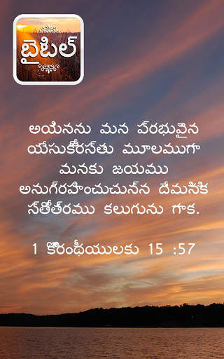 Bible in Telugu screenshot 23