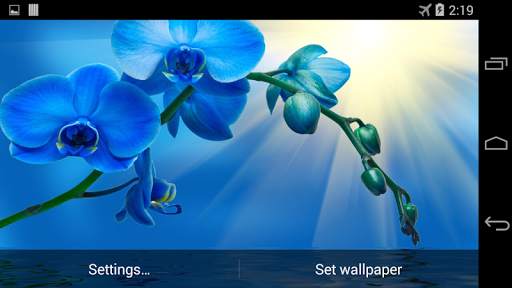 Blue Orchid Live Wallpaper screenshot 4