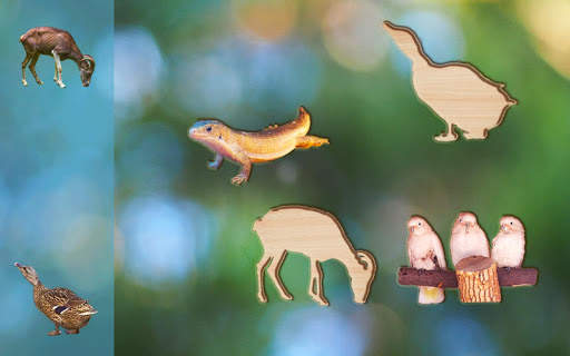 Puzzle Game for Kids Animals and Birds, Full Game screenshot 4