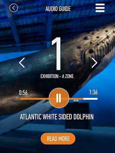 Whales of Iceland Audio Guide! screenshot 10
