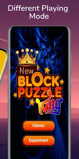 Block Puzzle King 2021 New Game screenshot 2