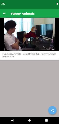 Funny Animal Videos screenshot 4