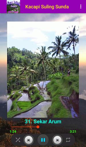 Kacapi Suling Sunda | Audio Offline   Ringtone screenshot 4
